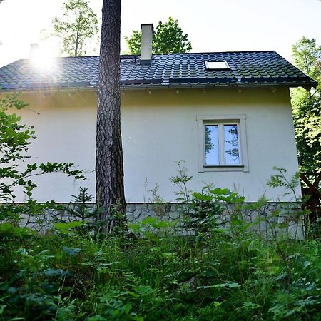 Gorski Domek Kolo Karpacza- Apartamentuj Bagian luar foto