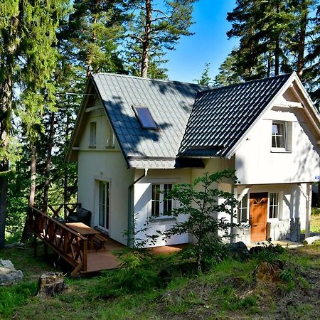 Gorski Domek Kolo Karpacza- Apartamentuj Bagian luar foto