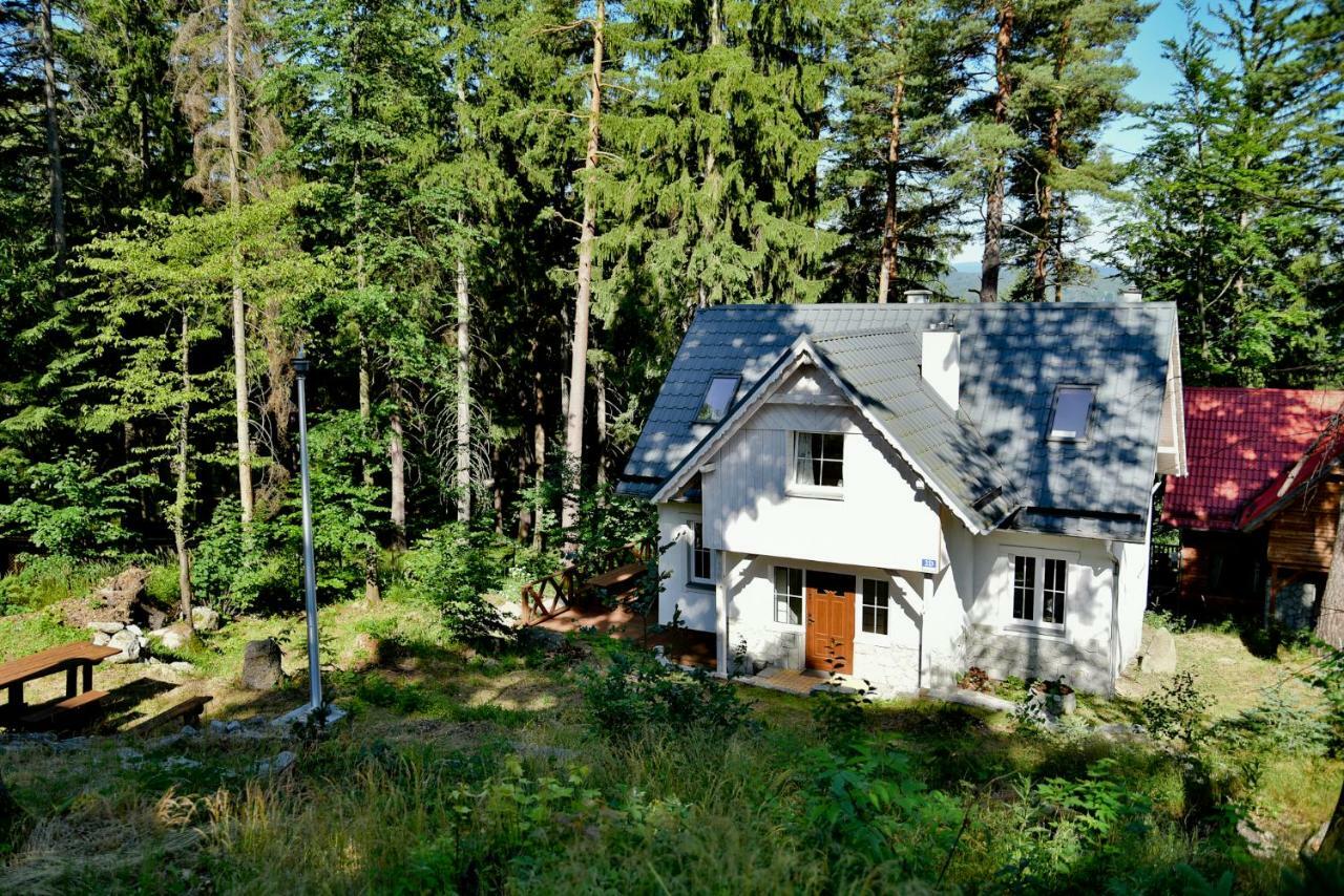 Gorski Domek Kolo Karpacza- Apartamentuj Bagian luar foto