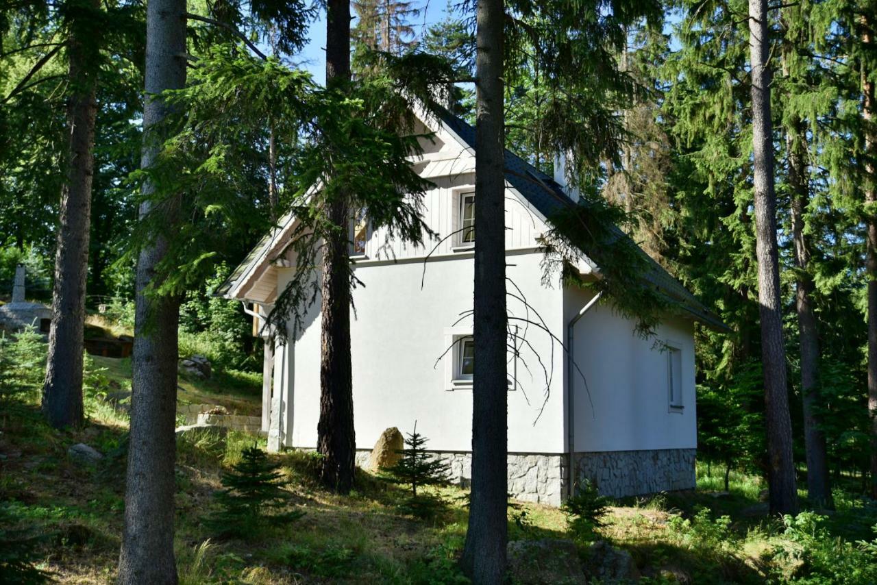 Gorski Domek Kolo Karpacza- Apartamentuj Bagian luar foto