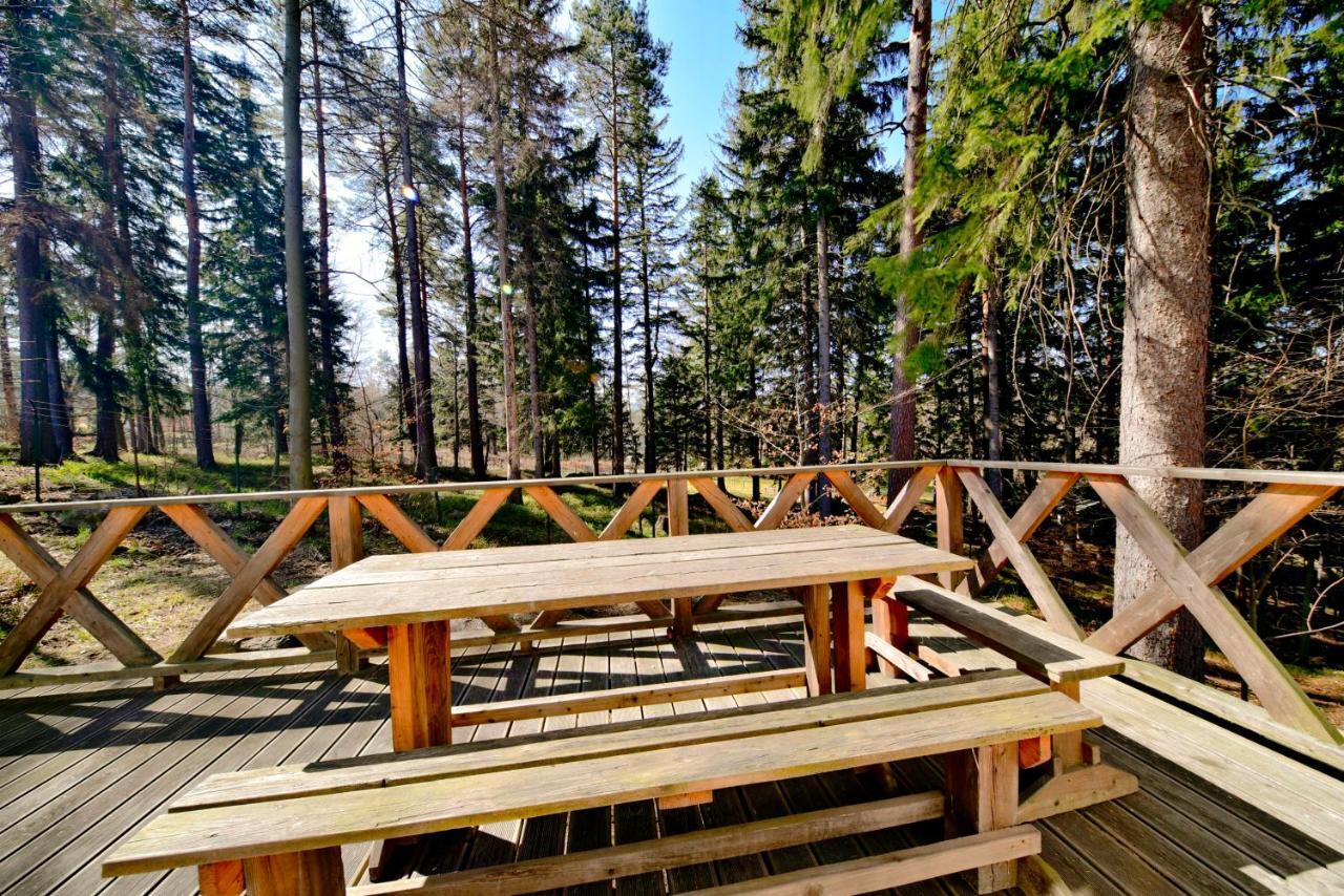 Gorski Domek Kolo Karpacza- Apartamentuj Bagian luar foto
